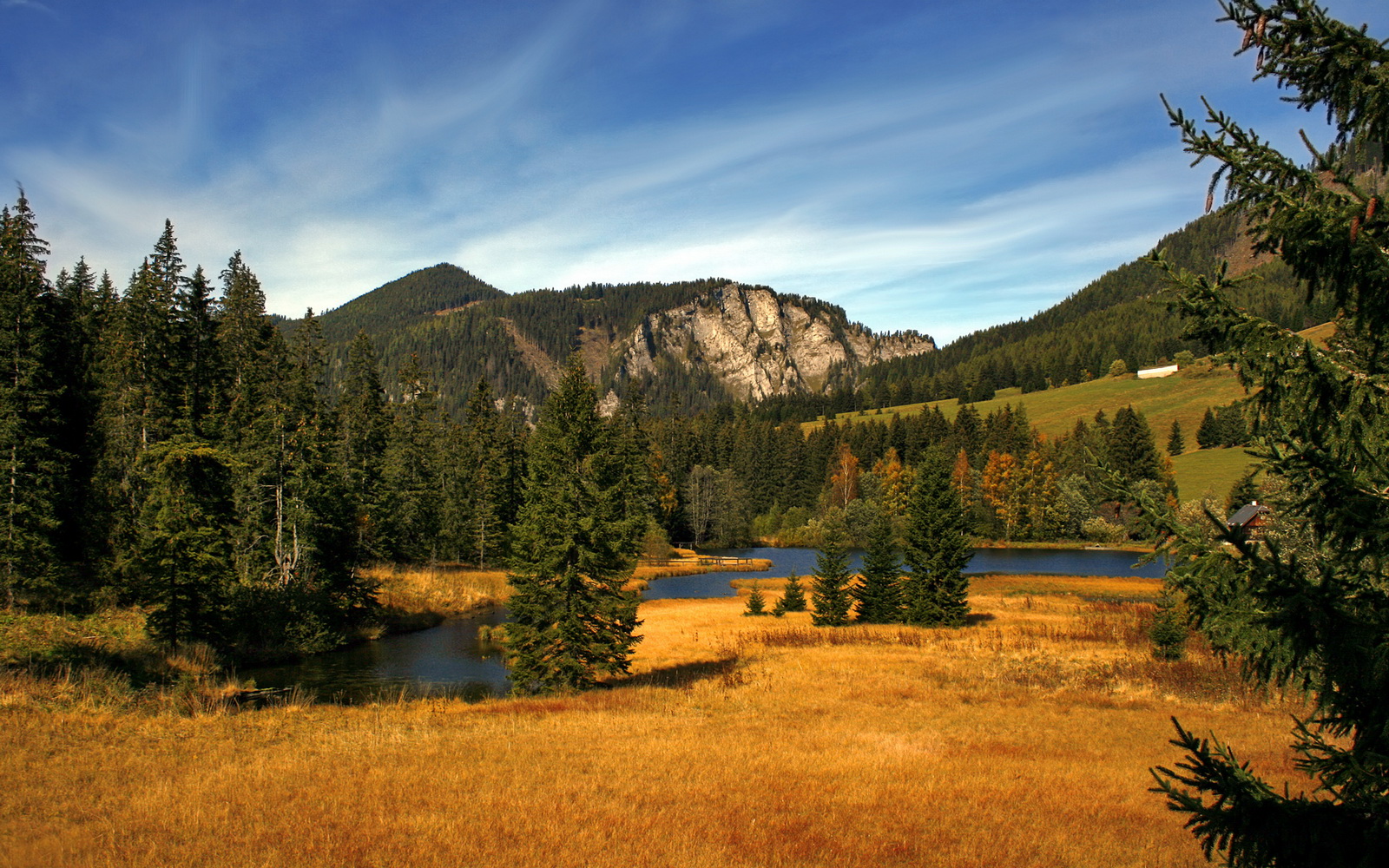 开云下载-法甲超级快攻：瞬间突击赢得满堂喝彩，法甲激烈